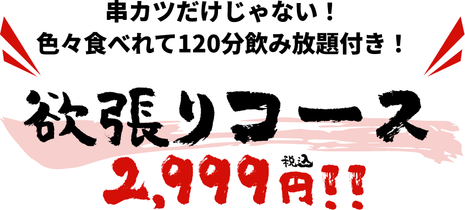 串カツだけじゃない！色々食べれて120分飲放題付き！欲張りコース2,999円税込!!